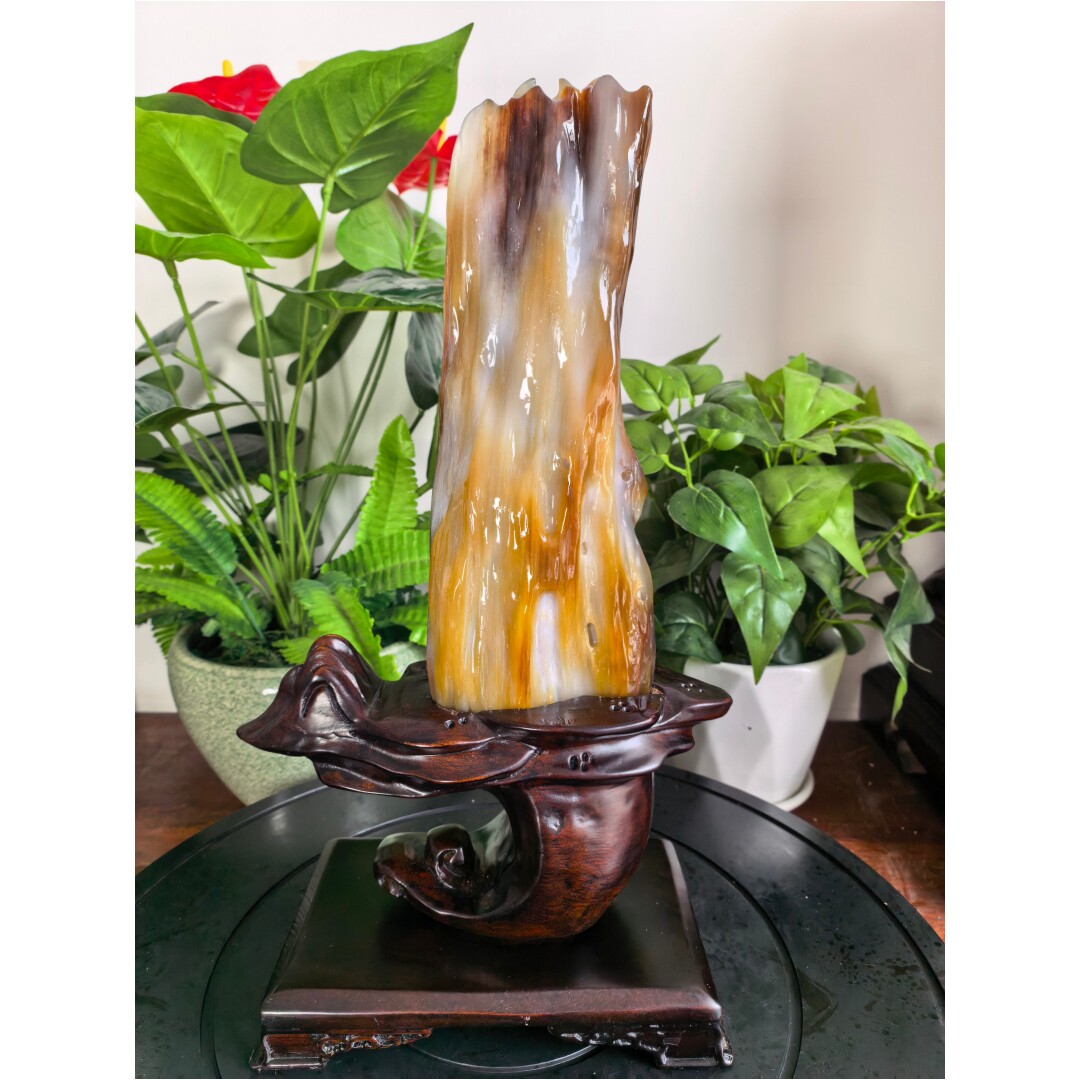 带蓝冰缅甸树化玉原石树化石客厅奇石收藏木化玉石天然木化石摆件