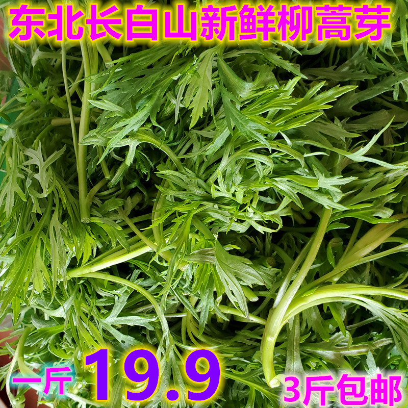 柳蒿芽蘸酱菜野生新鲜