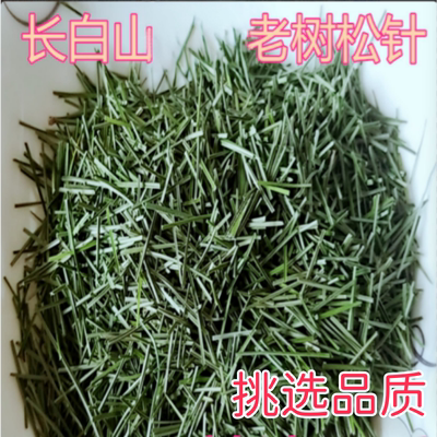 松针长白山松针段五叶松树叶