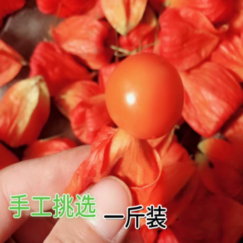 东北长白山山姑娘苦姑娘姑娘果灯笼果挂金灯一斤包邮