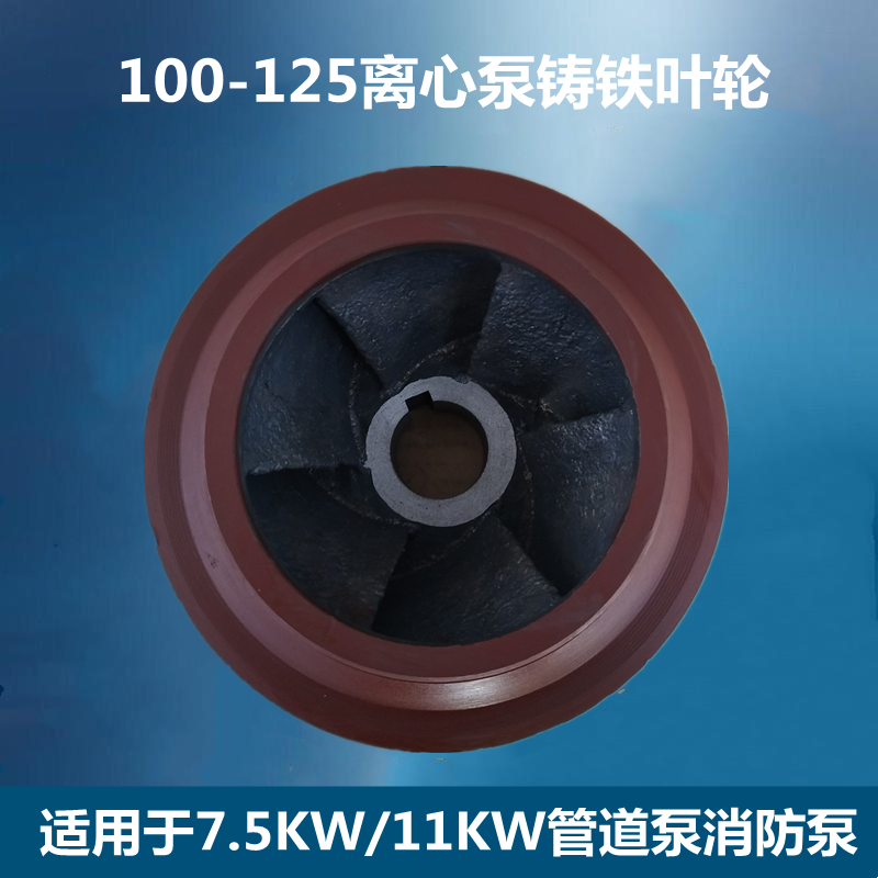 ISG100-125管道泵自吸泵铸铁叶轮