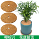 椰棕垫花盆铺面天然椰丝植物装 饰圆棕片防草护根垫片盆栽花盆盖面