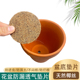 花盆底孔垫片圆形防漏垫多肉植物园艺盆底垫网防漏土透气防虫底垫