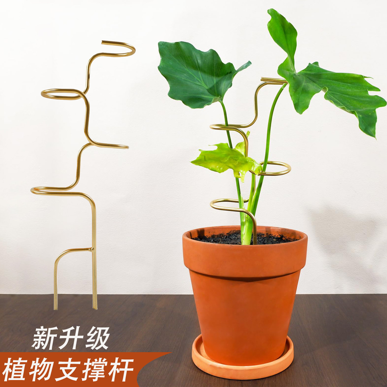 植物防倒伏支架绿植支撑杆铁艺园艺固定架植物定型收拢架爬藤花架,鲜花速递/花卉仿真/绿植园艺,花架,淘宝优惠券,粉丝福利购,淘宝优惠卷