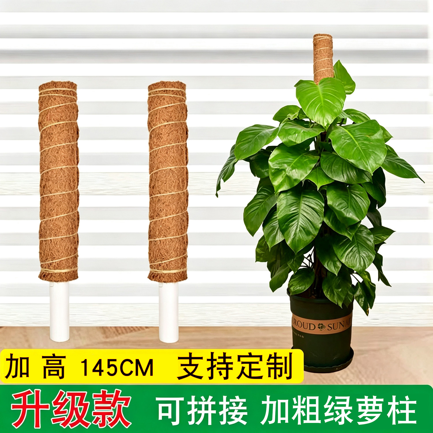 加粗款椰棕棒可拼接天然植物伴侣图片