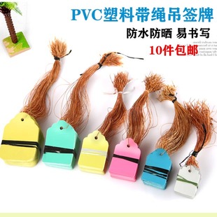 园艺标签牌花卉吊牌植物吊签苗木吊牌多肉标签塑料标签花卉标记牌