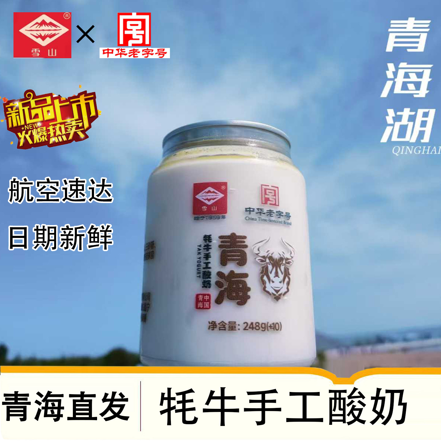 【雪山】老字号 手工牦牛酸奶 瓶装 250g*8瓶 青海特产老酸奶