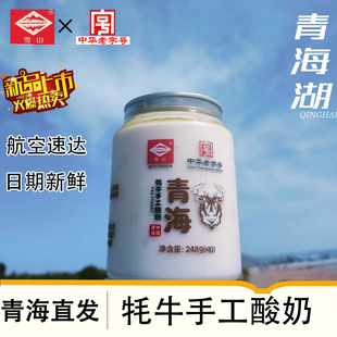 手工牦牛酸奶 老字号 瓶装 250g 青海特产老酸奶 8瓶 雪山