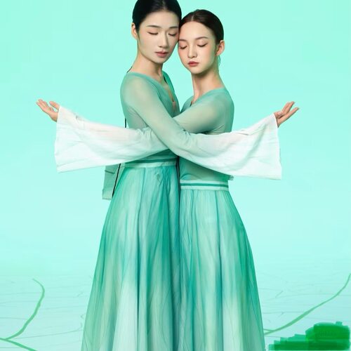 荷不染古典舞演出服女纱衣中国风舞蹈艺考练功服中国舞飘逸演出服