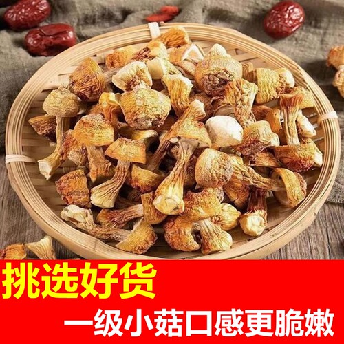 姬松茸干货小菇巴西蘑菇干菌类