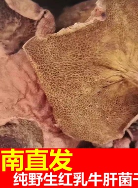 云南特产纯野生红乳牛肝杆菌子类蘑菇干货剪根炒菜煲汤嫩滑爽河坪