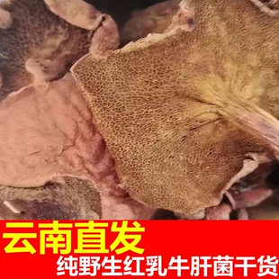云南特产纯野生红乳牛肝杆菌子类蘑菇干货剪根炒菜煲汤嫩滑爽河坪