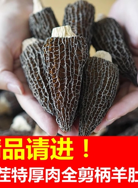 云南精品全剪柄羊肚菌干货官方旗舰店干菌菇类羊肚菇500g克非野生