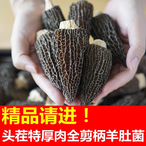 云南精品干羊肚菌干货500g全剪柄