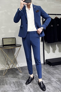 新款十色 韩版休闲小西装 西服套装两件套 全身图深蓝-LJT09-P210图片