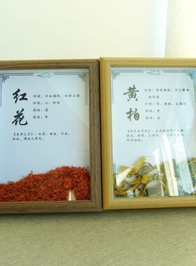 中医文创中药标本展示中药材标本装饰画中草药标本相框标本画diy