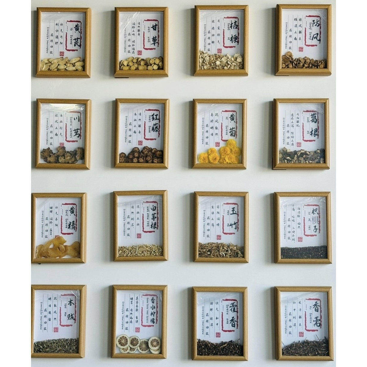 中医药标本框画框摆件中药挂画展示框礼物展示装饰中医馆文化墙