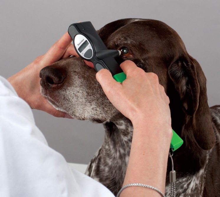 宠物眼压计ICARE tonovet动物款猫狗马兔兽医专用眼压仪