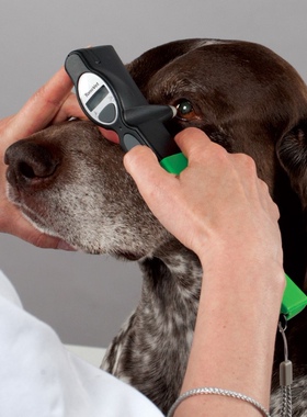 宠物眼压计ICARE tonovet动物款猫狗马兔兽医专用眼压仪