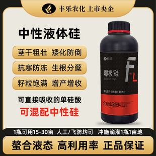爆极硅肥超强混配中性硅水稻小麦抗逆扛倒单硅酸果蔬菜增产叶面肥