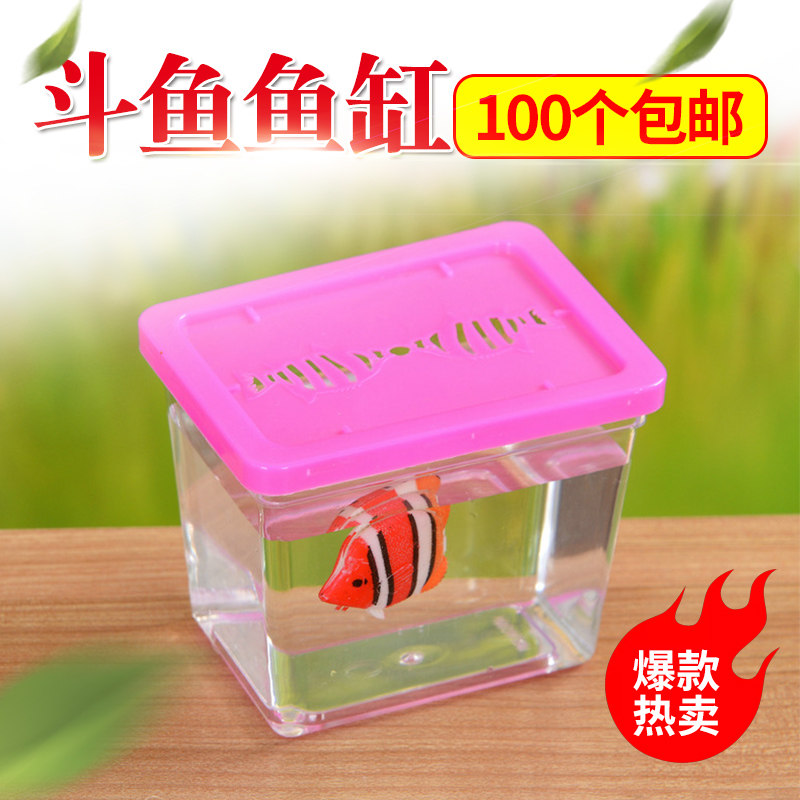 新款斗鱼杯斗鱼方盒方杯小鱼塑料透明小型鱼缸昆虫盒宠物盒乌龟缸