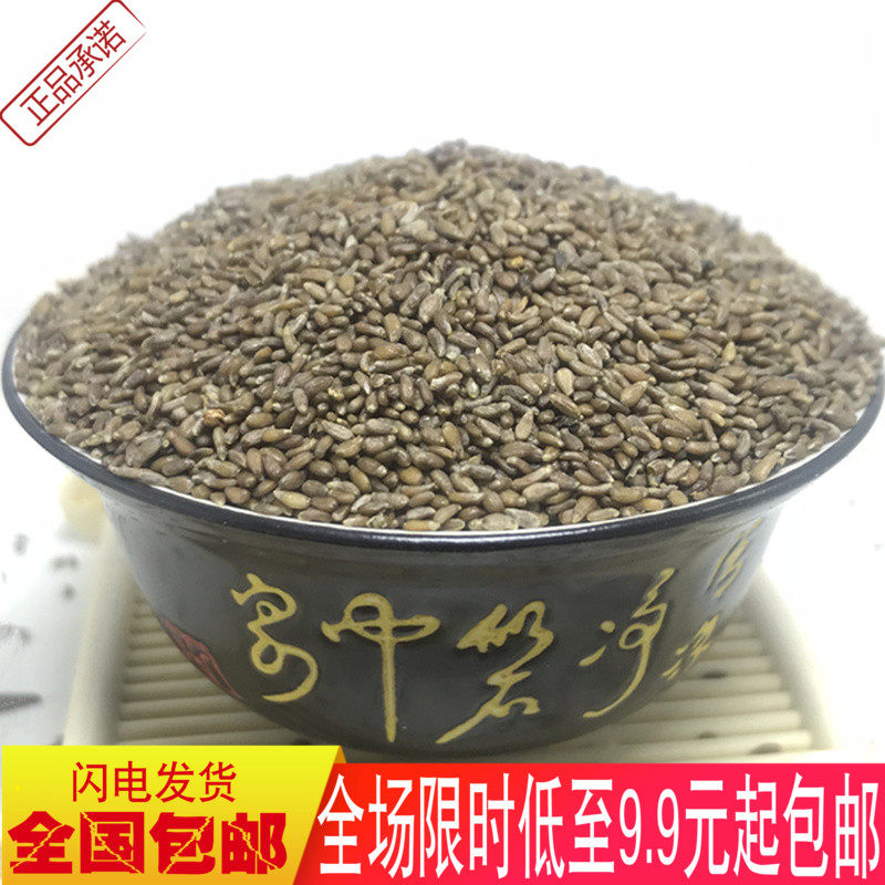 沙蒿子500g包邮正宗沙浩子纯天然沙蒿子粉中药材沙蒿子面粉透皮贴