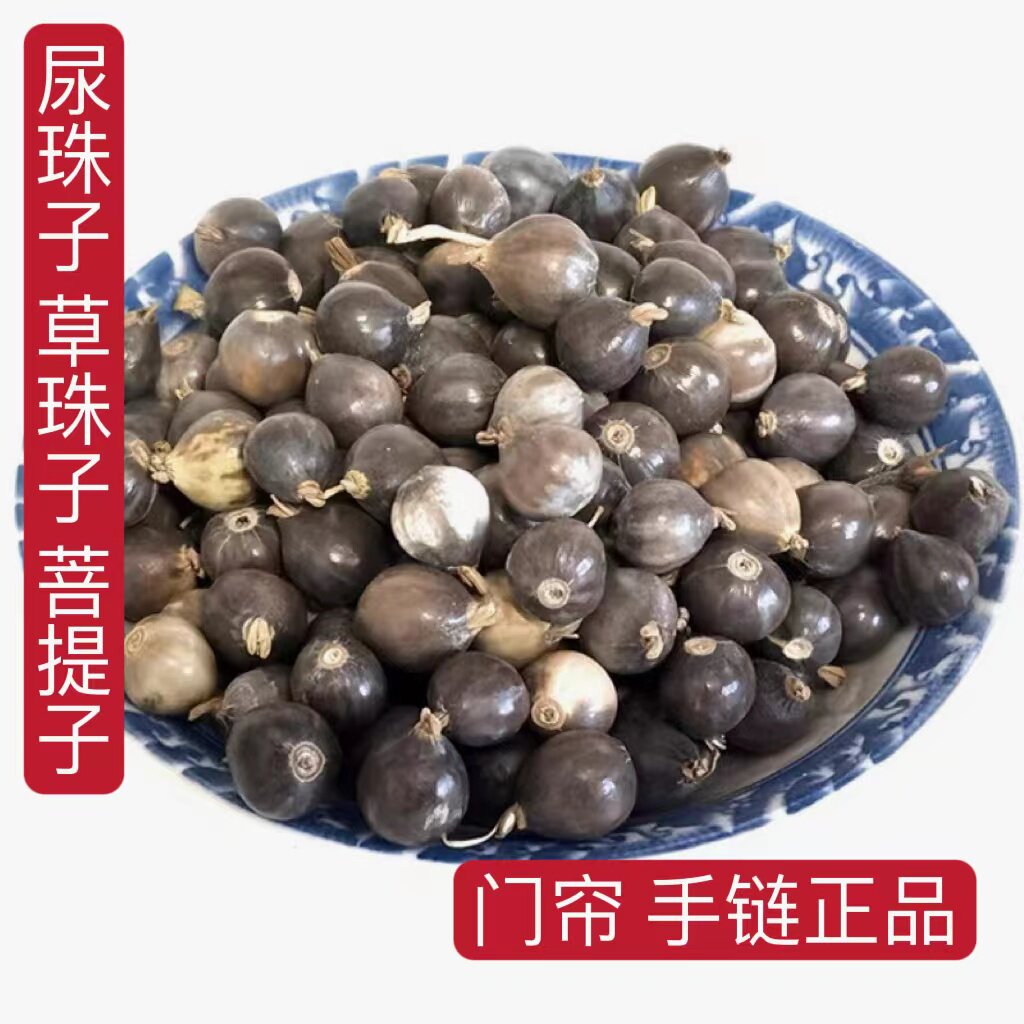 尿珠子500g 草珠子种子菩提子正品 薏米根