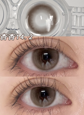 奶杏杏棕色美瞳半年抛大小直径早春自然款女彩色隐形眼镜正品5xx