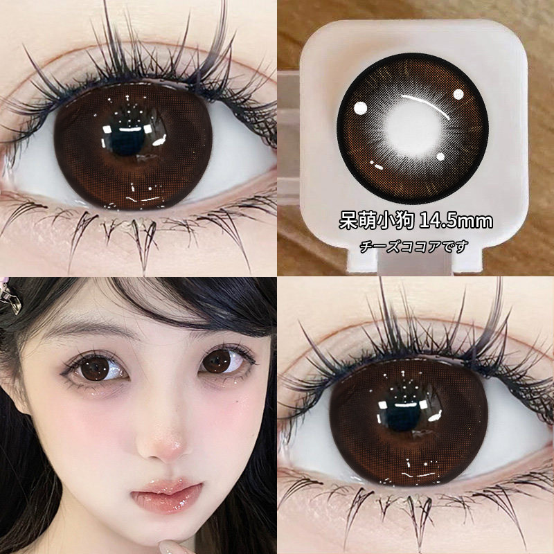 呆萌小狗美瞳半年抛自然棕色大小直径高颜值隐形近视眼镜QF正装TN图片