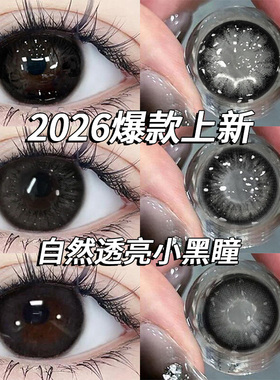 美瞳半年抛黑色大小直径自然日常通勤近视隐形眼镜官网旗舰店泽yc