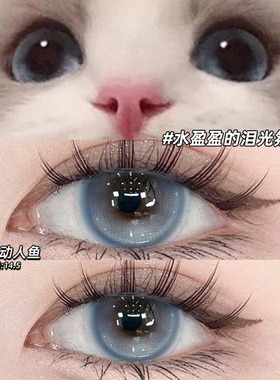 心动人鱼美瞳日抛30片蓝色混血大直径一次性隐形眼镜WF官方正品TN