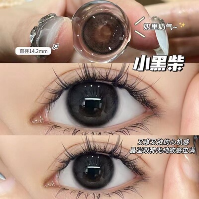 小黑柴美瞳半年抛大直径黑色隐形眼镜一年抛2024新款WF正品官网TN