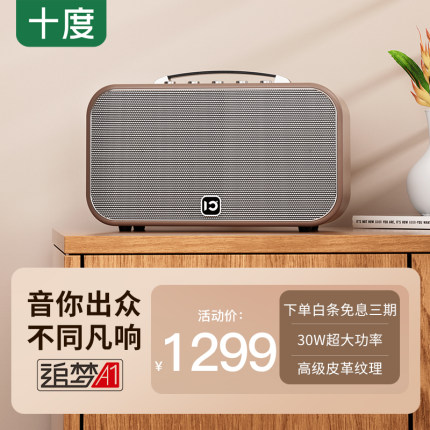 十度A1居家K歌蓝牙音箱电吹管萨克斯吉他乐器演奏专用音响