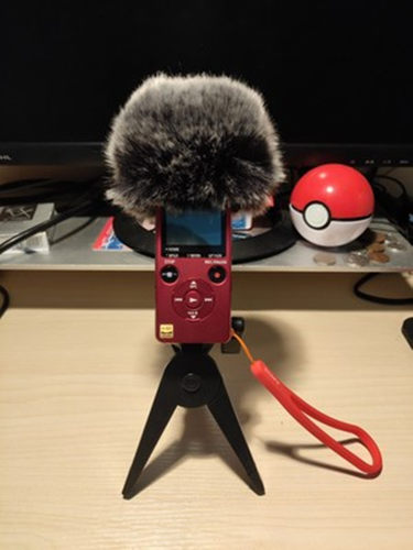 适用索尼ICDSX1000SX2000话筒套