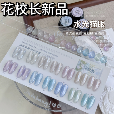 【花校长】海棠未雨水光猫眼爆款细腻透亮新品美甲甲油胶1g分装