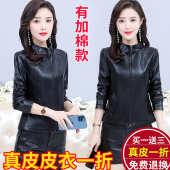 修身 海宁真皮皮衣女短款 皮夹克韩版 立领大码 小外套 绵羊皮2025新款