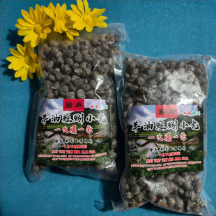 爆笼爆网蚯蚓羊油颗粒虾笼伞笼捕鱼网笼黄鳝诱饵龙虾河虾泥鳅饵料