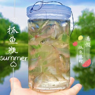 儿童户外塑料大捉鱼瓶抓鱼神器捕鱼小鱼捕虾饵料倒须蟹笼亲子工具