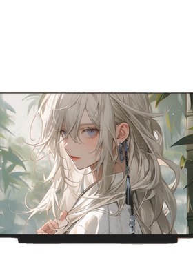 宏基掠夺者刀锋300SE 500SE 龙5擎7S擎6擎Neo16 PHN16-71液晶屏幕