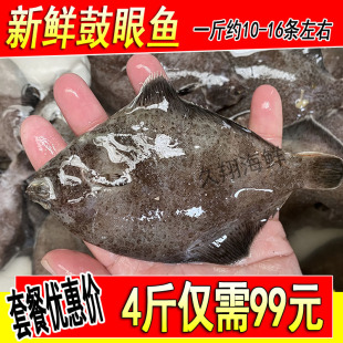 鼓眼鱼新鲜高眼鱼比目鱼偏口鱼1斤10-16条小嘴鱼小船货海鱼4斤装