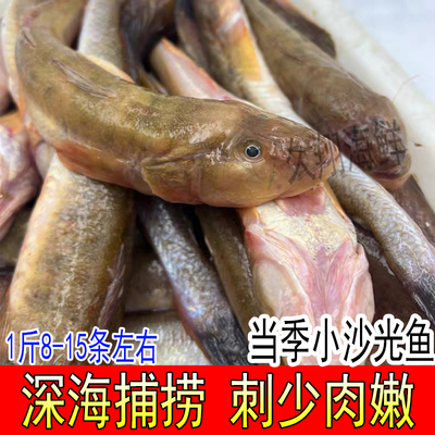 沙光鱼整鱼连云港1斤8-15条6斤装