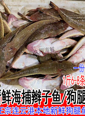 1斤6-8条新鲜辫子鱼狗腿鱼