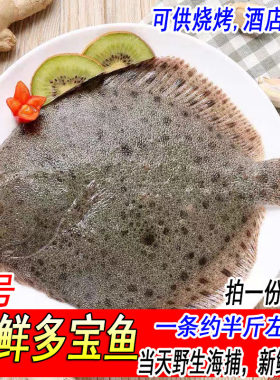 海捕多宝鱼比目鱼半斤左右一条