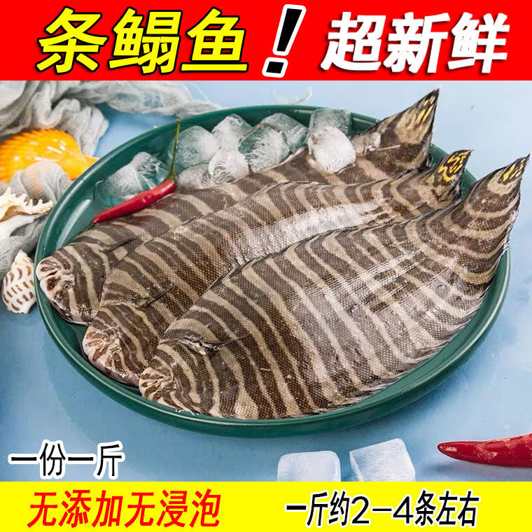 本地新鲜花手绢鱼龙利鱼虎皮鱼花条鳎鲜活鳎板鱼海鱼水产1斤2-4条