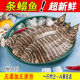 本地新鲜花手绢鱼龙利鱼虎皮鱼花条鳎鲜活鳎板鱼海鱼水产1斤2 4条
