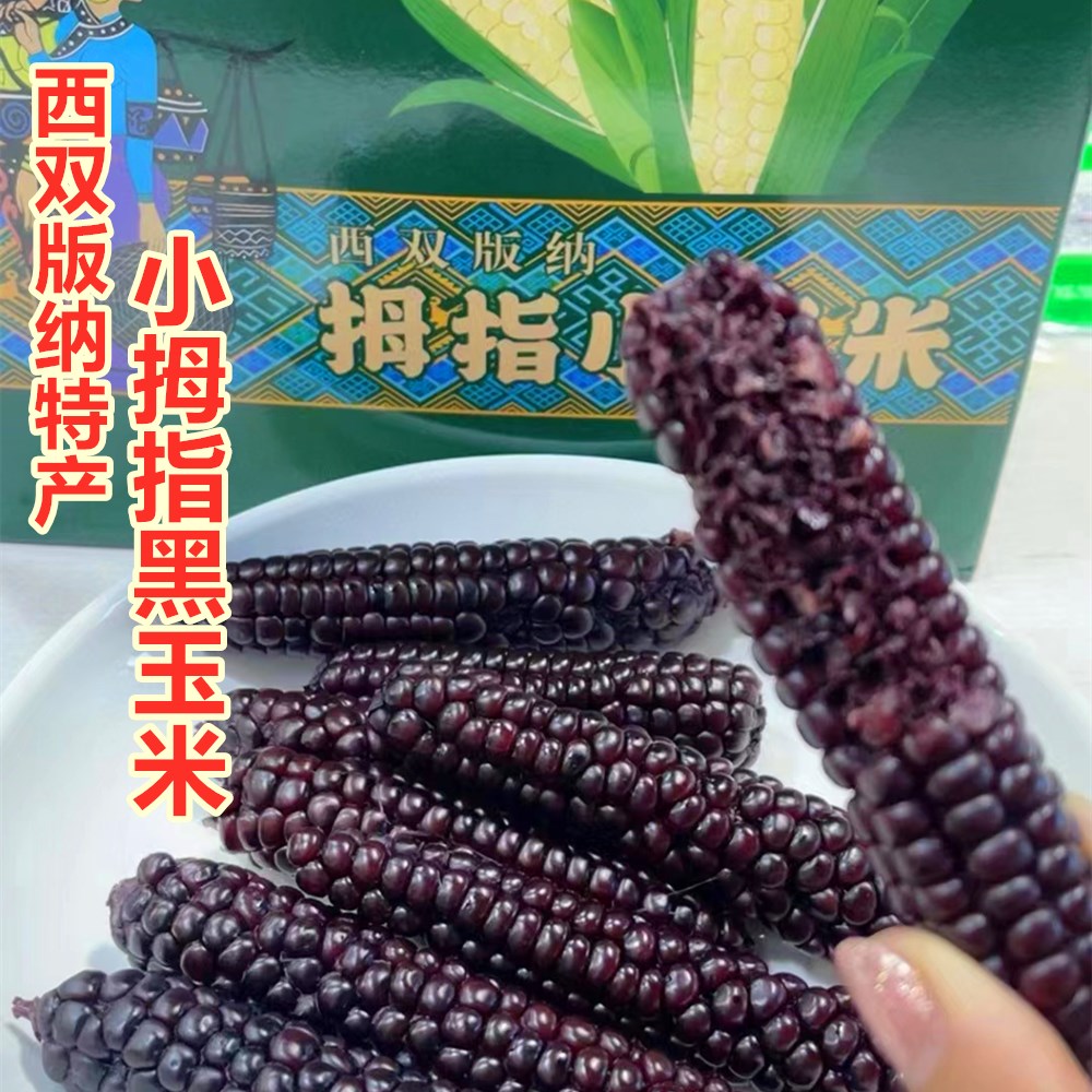 礼盒装西双版纳特产黑色拇指小玉米4斤 拇指小黑糯玉米粗粮早餐