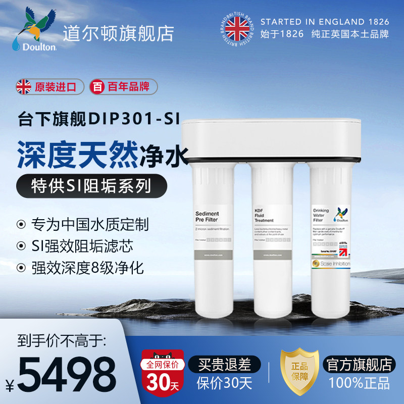 英国道尔顿净水器D-IP301-SI家用直饮净水机家用厨房自来水过滤器