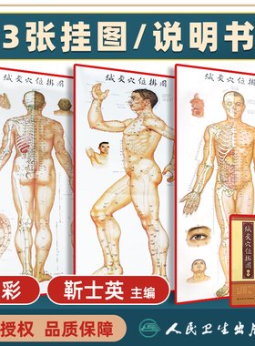 【1m*0.5m】3张 针灸穴位挂图全彩彩图版 正面侧面背面三张全开本耳穴足穴 靳士英人体穴位中医学经络腧穴学书籍人民卫生出版社