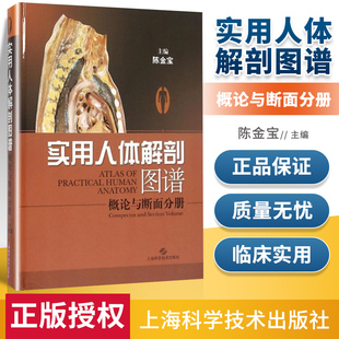正版实用人体解剖图谱概论与断面分册陈金宝著人体解剖学全身体表断面图解医学类工具书医药卫生上海科学技术出版社9787547825099