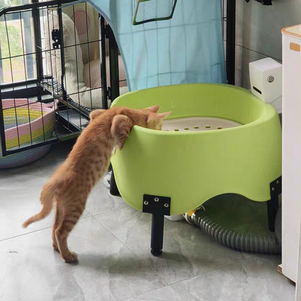 全自动冲水猫厕所红外感应智能猫砂盆马桶开放宠物狗手机远程遥控